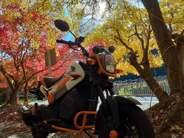 f:id:navi110:20221119182343j:image