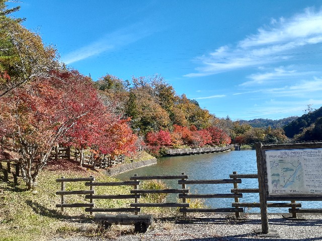 f:id:navi110:20221119182506j:image