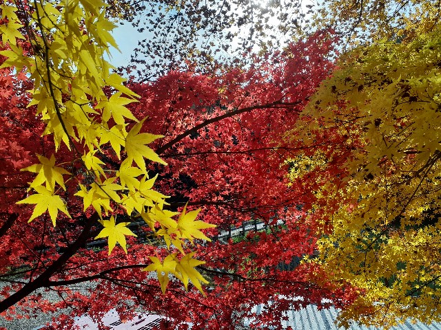 f:id:navi110:20221119182654j:image