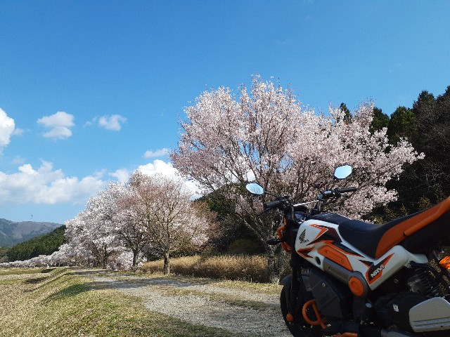 f:id:navi110:20230401193433j:image