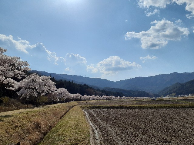 f:id:navi110:20230401193531j:image