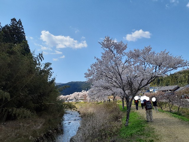 f:id:navi110:20230401194145j:image