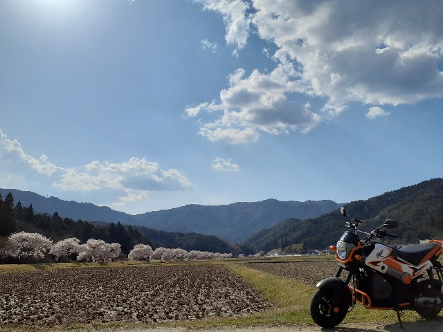 f:id:navi110:20230401204439j:image