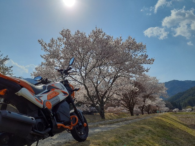 f:id:navi110:20230401204503j:image