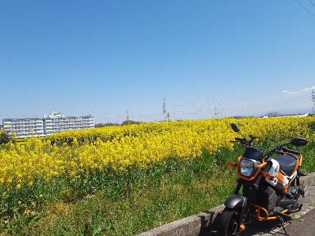 f:id:navi110:20230401211334j:image