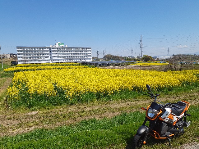 f:id:navi110:20230401211623j:image