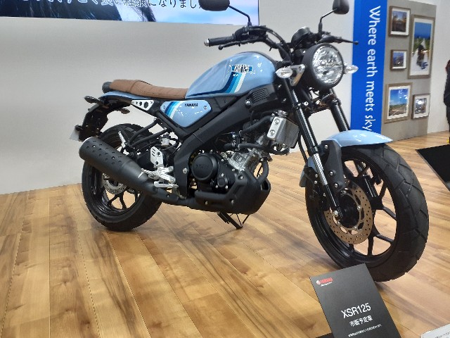 f:id:navi110:20230408203629j:image