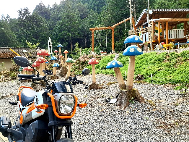 f:id:navi110:20230722203056j:image