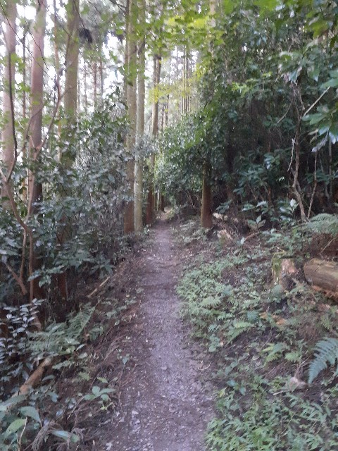 f:id:navi110:20230918090610j:image