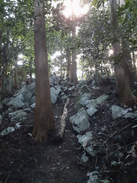 f:id:navi110:20230918090702j:image