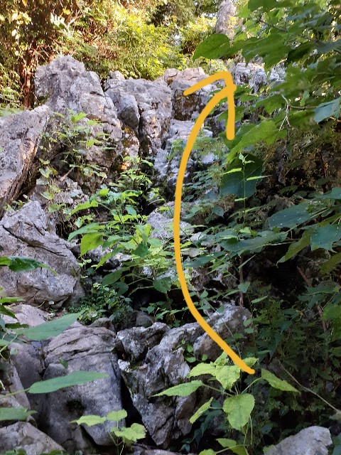 f:id:navi110:20230918091012j:image