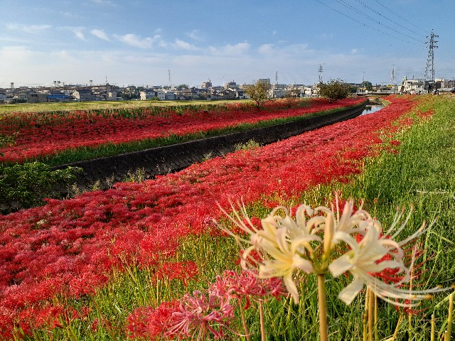 f:id:navi110:20230930092816j:image