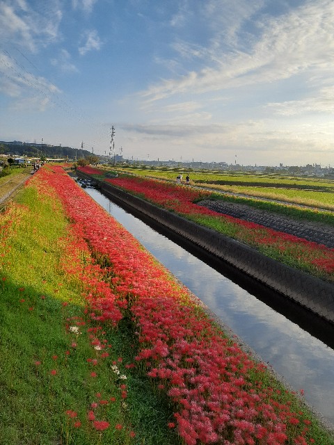 f:id:navi110:20230930092831j:image