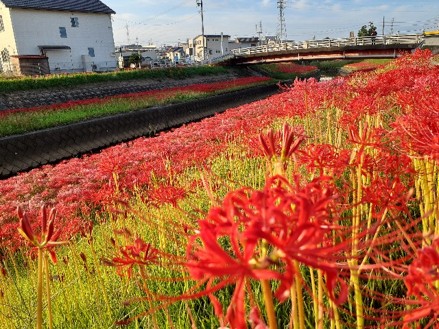 f:id:navi110:20230930092842j:image