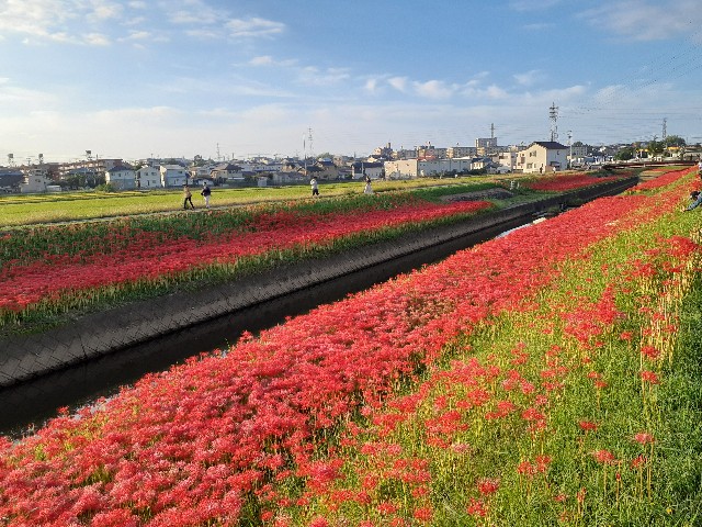 f:id:navi110:20230930092921j:image