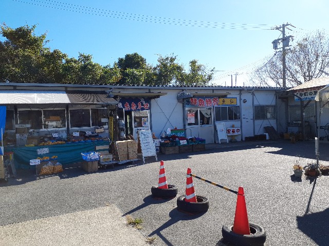 f:id:navi110:20231022180959j:image