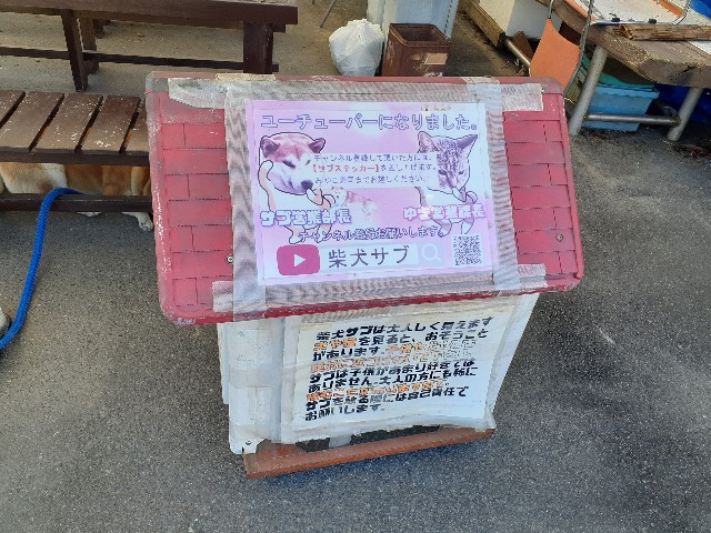 f:id:navi110:20231022190104j:image