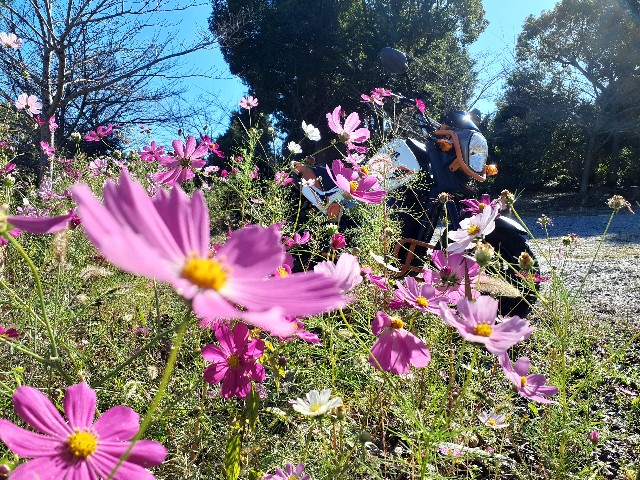 f:id:navi110:20231022201453j:image