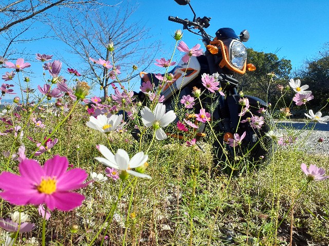 f:id:navi110:20231022201522j:image