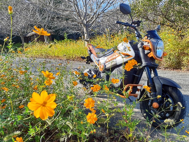 f:id:navi110:20231022201551j:image