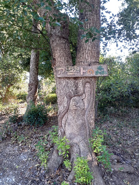 f:id:navi110:20231022201726j:image