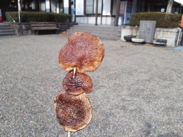 f:id:navi110:20231104213448j:image