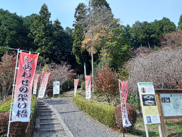 f:id:navi110:20231104214445j:image