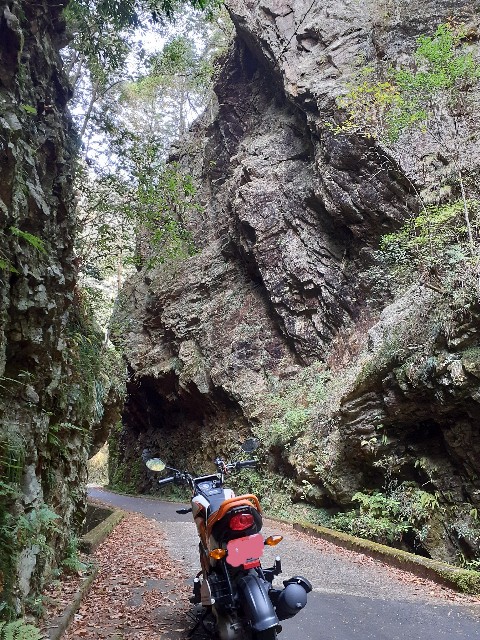 f:id:navi110:20231105093404j:image