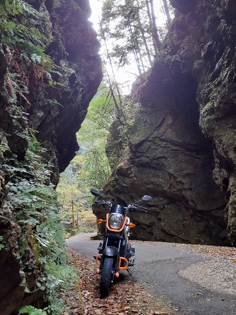 f:id:navi110:20231105093440j:image