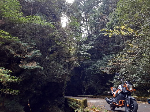 f:id:navi110:20231105093619j:image