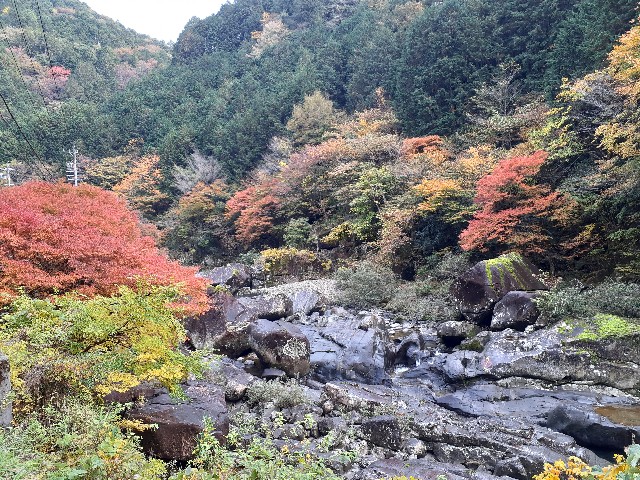 f:id:navi110:20231105154021j:image