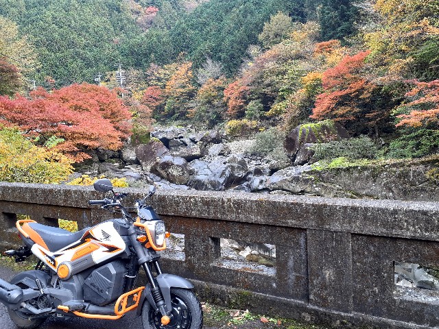 f:id:navi110:20231105154110j:image