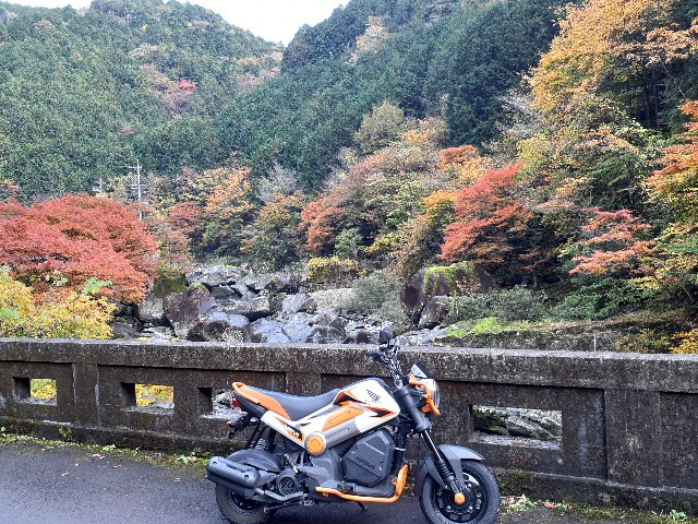 f:id:navi110:20231105154201j:image