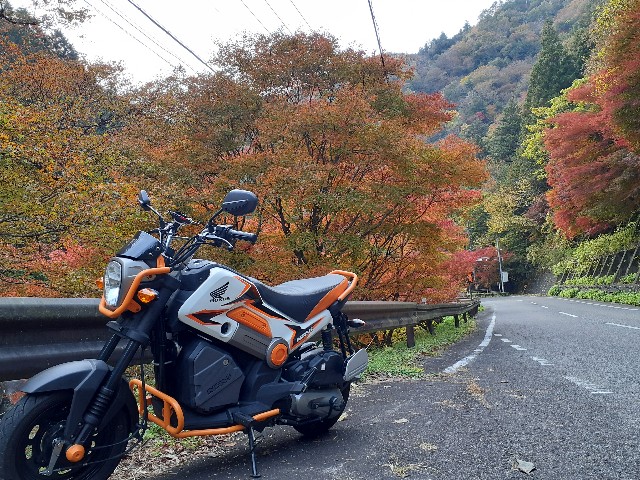 f:id:navi110:20231105154255j:image