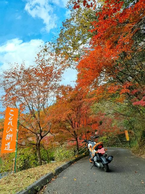 f:id:navi110:20231118190622j:image