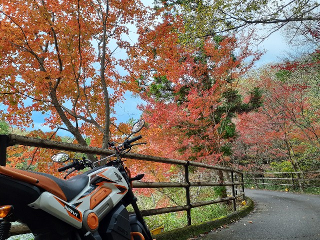 f:id:navi110:20231118190921j:image