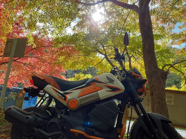 f:id:navi110:20231118190957j:image