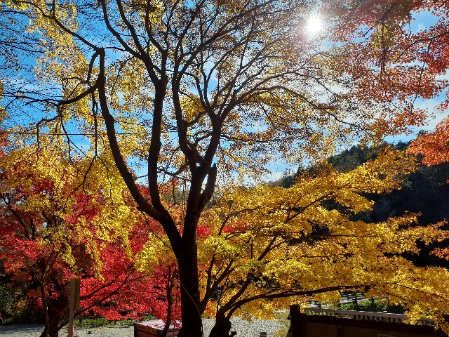 f:id:navi110:20231118191439j:image