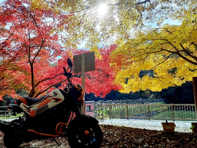 f:id:navi110:20231118191619j:image