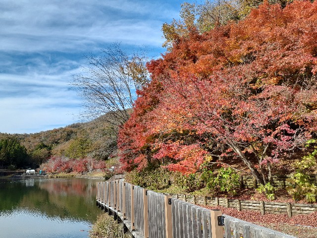 f:id:navi110:20231118191728j:image