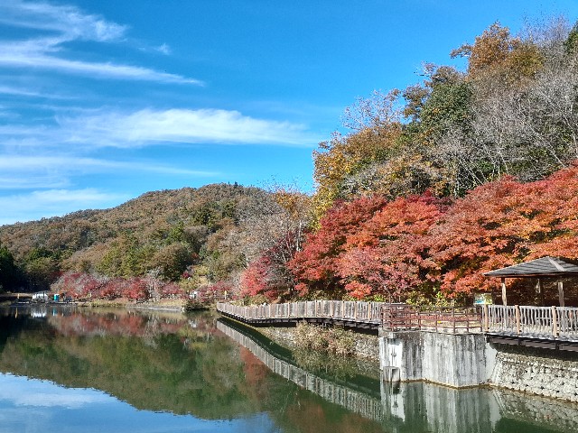 f:id:navi110:20231118191853j:image