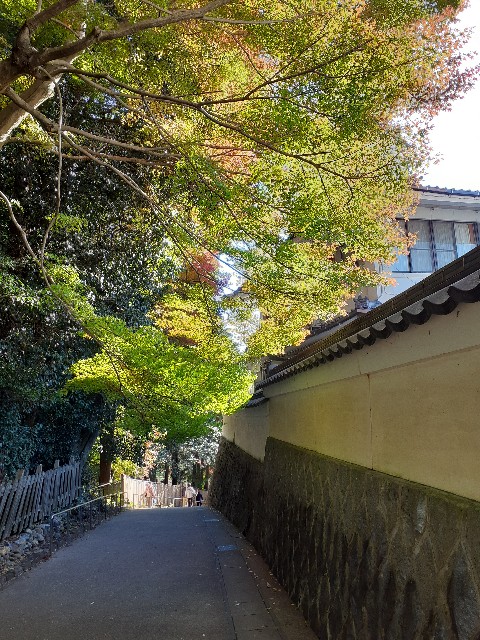 f:id:navi110:20231120211624j:image