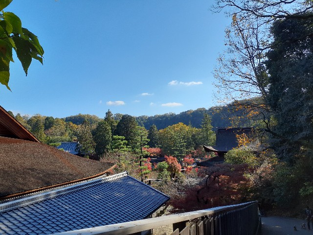 f:id:navi110:20231120211732j:image