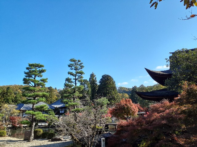 f:id:navi110:20231120211804j:image