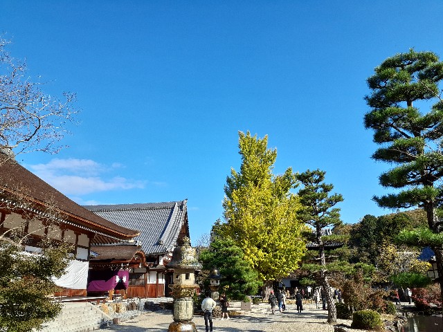 f:id:navi110:20231120212535j:image