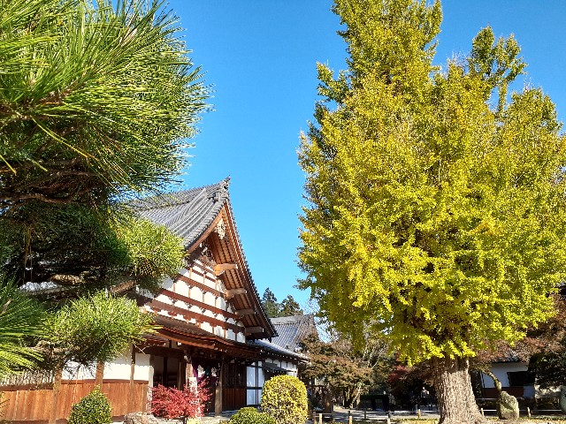 f:id:navi110:20231120212646j:image