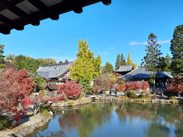 f:id:navi110:20231120220642j:image