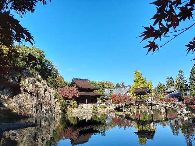 f:id:navi110:20231120220849j:image