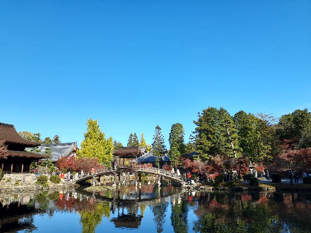 f:id:navi110:20231120220912j:image