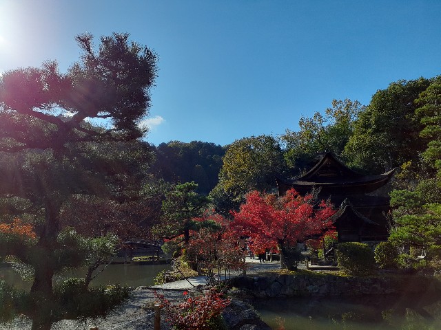 f:id:navi110:20231120221936j:image